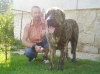 Filename=a-helge,hassan_mastibe1r.JPG
Filesize=173KiB
Dimensions=450x337
Date added=%457 %27, %2007 a-helge,hassan_mastibe1r.JPG