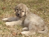 Filename=ace32109.jpg
Filesize=292KiB
Dimensions=586x440
Date added=%952 %22, %2009 ace32109.jpg