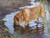 Filename=alma_rio.jpg
Filesize=659KiB
Dimensions=856x642
Date added=%931 %02, %2008 alma_rio.jpg