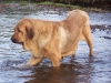 Filename=alma_rio2.jpg
Filesize=649KiB
Dimensions=856x642
Date added=%931 %02, %2008 alma_rio2.jpg