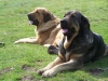 Filename=alma_y_arquera2.jpg
Filesize=657KiB
Dimensions=858x644
Date added=%980 %28, %2008 alma_y_arquera2.jpg
