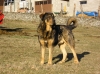 Filename=apolo_9_meses2.jpg
Filesize=480KiB
Dimensions=687x515
Date added=%614 %26, %2008 apolo_9_meses2.jpg