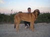 Filename=aragon__.JPG
Filesize=64KiB
Dimensions=640x480
Date added=%830 %02, %2010 aragon__.JPG