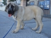 Filename=arpon_1.JPG
Filesize=106KiB
Dimensions=768x576
Date added=%883 %09, %2008 arpon_1.JPG