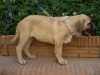 Filename=arpon_2.JPG
Filesize=117KiB
Dimensions=768x576
Date added=%882 %09, %2008 arpon_2.JPG