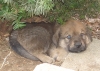 Filename=arturo32109.jpg
Filesize=113KiB
Dimensions=406x289
Date added=%949 %22, %2009 arturo32109.jpg