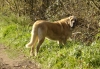 Filename=ateneaa4.jpg
Filesize=205KiB
Dimensions=575x400
Date added=%637 %16, %2007 ateneaa4.jpg