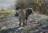 Filename=ateneaa5.jpg
Filesize=219KiB
Dimensions=575x400
Date added=%637 %16, %2007 ateneaa5.jpg
