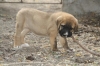 Filename=a~0.jpg
Filesize=110KiB
Dimensions=972x648
Date added=%233 %24, %2009 a~0.jpg