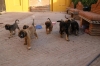 Filename=a~1.jpg
Filesize=109KiB
Dimensions=972x648
Date added=%866 %12, %2009 a~1.jpg