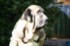 Filename=a~3.jpg
Filesize=78KiB
Dimensions=972x648
Date added=%848 %21, %2009 a~3.jpg