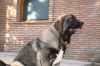 Filename=bach.jpg
Filesize=82KiB
Dimensions=778x519
Date added=%830 %29, %2009 bach.jpg