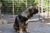 Filename=bachat.jpg
Filesize=102KiB
Dimensions=778x519
Date added=%572 %06, %2009 bachat.jpg