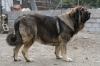 Filename=bac~2.jpg
Filesize=261KiB
Dimensions=972x648
Date added=%530 %22, %2011 bac~2.jpg