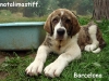 Filename=barc_2sss.JPG
Filesize=106KiB
Dimensions=640x480
Date added=%551 %25, %2010 barc_2sss.JPG