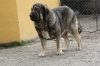 Filename=ba~8.jpg
Filesize=314KiB
Dimensions=972x648
Date added=%531 %22, %2011 ba~8.jpg