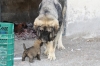 Filename=bd.jpg
Filesize=85KiB
Dimensions=778x519
Date added=%254 %23, %2009 bd.jpg