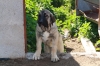 Filename=be.jpg
Filesize=104KiB
Dimensions=778x519
Date added=%829 %29, %2009 be.jpg
