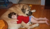 Filename=brutus1116101.jpg
Filesize=76KiB
Dimensions=720x422
Date added=%153 %29, %2010 brutus1116101.jpg