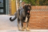 Filename=b~0.jpg
Filesize=86KiB
Dimensions=778x519
Date added=%616 %28, %2009 b~0.jpg