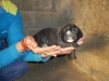 Filename=cam.jpg
Filesize=114KiB
Dimensions=768x576
Date added=%355 %22, %2008 cam.jpg