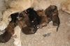 Filename=cam~1.jpg
Filesize=87KiB
Dimensions=778x519
Date added=%508 %28, %2009 cam~1.jpg
