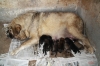Filename=cam~2.jpg
Filesize=93KiB
Dimensions=778x519
Date added=%276 %04, %2009 cam~2.jpg