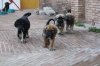 Filename=cam~6.jpg
Filesize=114KiB
Dimensions=972x648
Date added=%421 %03, %2009 cam~6.jpg