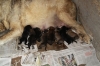 Filename=ca~1.jpg
Filesize=92KiB
Dimensions=778x519
Date added=%569 %06, %2009 ca~1.jpg