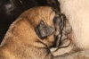 Filename=c~0.jpg
Filesize=82KiB
Dimensions=778x519
Date added=%509 %28, %2009 c~0.jpg