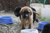 Filename=c~7.jpg
Filesize=88KiB
Dimensions=972x648
Date added=%233 %24, %2009 c~7.jpg