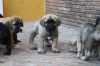 Filename=duen.jpg
Filesize=96KiB
Dimensions=972x648
Date added=%404 %03, %2009 duen.jpg