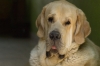 Filename=duke2.jpg
Filesize=299KiB
Dimensions=1024x681
Date added=%972 %27, %2008 duke2.jpg
