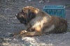 Filename=d~3.jpg
Filesize=131KiB
Dimensions=972x648
Date added=%860 %18, %2009 d~3.jpg