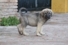 Filename=d~5.jpg
Filesize=83KiB
Dimensions=972x648
Date added=%421 %03, %2009 d~5.jpg