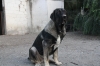 Filename=d~8.jpg
Filesize=124KiB
Dimensions=972x648
Date added=%848 %21, %2009 d~8.jpg