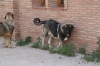 Filename=e.jpg
Filesize=90KiB
Dimensions=778x519
Date added=%262 %25, %2009 e.jpg