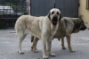 Filename=el.jpg
Filesize=229KiB
Dimensions=972x648
Date added=%362 %07, %2011 el.jpg