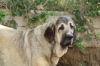Filename=ew.jpg
Filesize=104KiB
Dimensions=972x648
Date added=%261 %12, %2009 ew.jpg