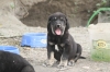 Filename=e~0.jpg
Filesize=90KiB
Dimensions=972x648
Date added=%231 %24, %2009 e~0.jpg