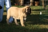 Filename=e~5.jpg
Filesize=132KiB
Dimensions=972x648
Date added=%307 %17, %2009 e~5.jpg