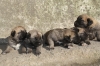 Filename=e~8.jpg
Filesize=121KiB
Dimensions=778x519
Date added=%965 %30, %2010 e~8.jpg