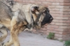 Filename=f.jpg
Filesize=66KiB
Dimensions=778x519
Date added=%261 %25, %2009 f.jpg