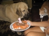 Filename=fall_Creek_Diva_s_1st-_B-Day__8-1-12.JPG
Filesize=185KiB
Dimensions=912x684
Date added=%757 %09, %2012 fall_Creek_Diva_s_1st-_B-Day__8-1-12.JPG