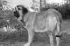 Filename=hg.jpg
Filesize=86KiB
Dimensions=778x519
Date added=%260 %12, %2009 hg.jpg