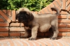 Filename=hy.jpg
Filesize=133KiB
Dimensions=972x648
Date added=%424 %21, %2009 hy.jpg