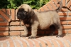 Filename=hyu.jpg
Filesize=134KiB
Dimensions=972x648
Date added=%424 %21, %2009 hyu.jpg