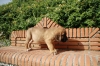 Filename=hyut.jpg
Filesize=171KiB
Dimensions=972x648
Date added=%423 %21, %2009 hyut.jpg