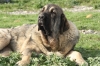 Filename=h~2.jpg
Filesize=110KiB
Dimensions=778x519
Date added=%428 %23, %2010 h~2.jpg