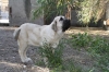 Filename=h~3.jpg
Filesize=123KiB
Dimensions=778x519
Date added=%320 %01, %2010 h~3.jpg